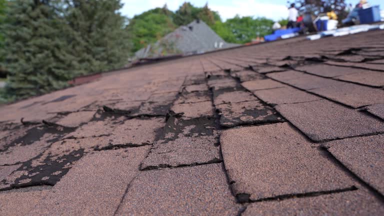 Fast & Reliable Emergency Roof Repairs in Crookston, MN